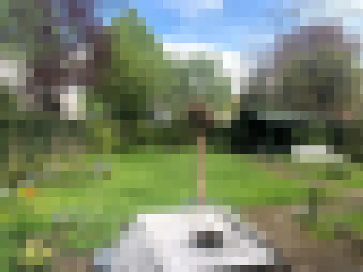 de Bommerij 19 Twello thumbnail 48