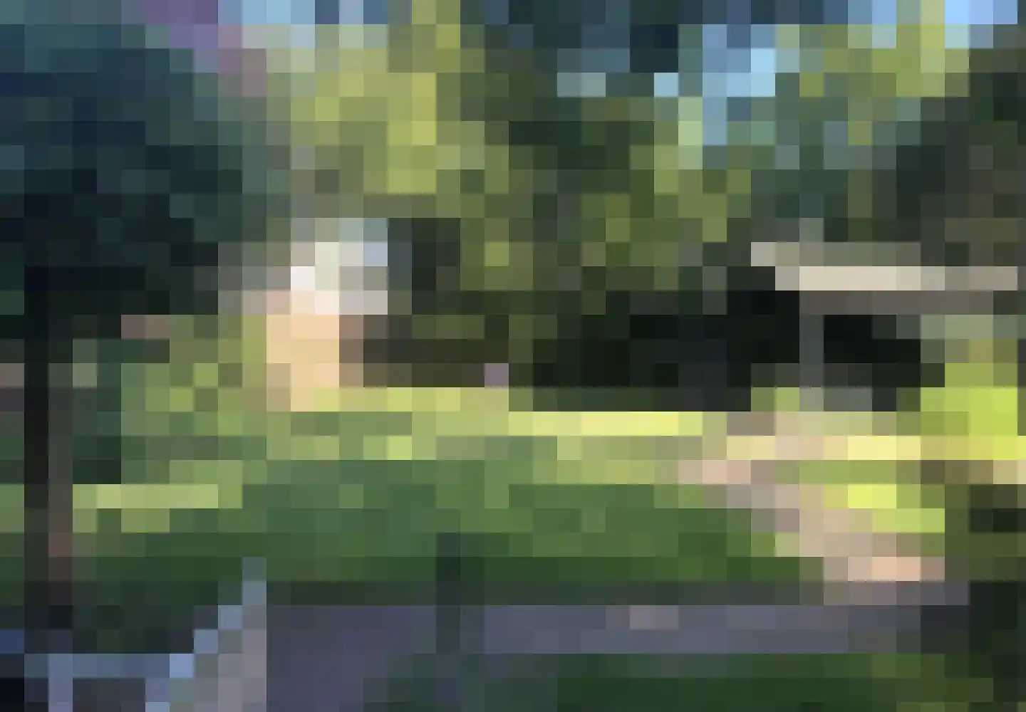 de Bommerij 19 Twello thumbnail 49