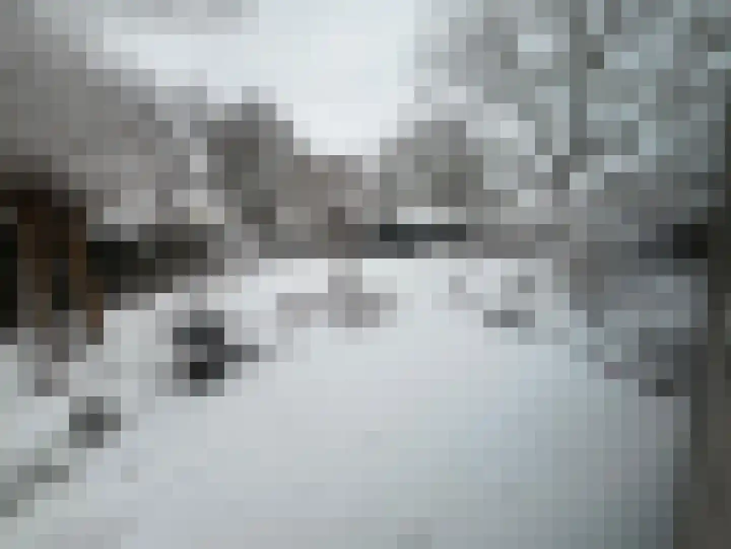 de Bommerij 19 Twello thumbnail 53