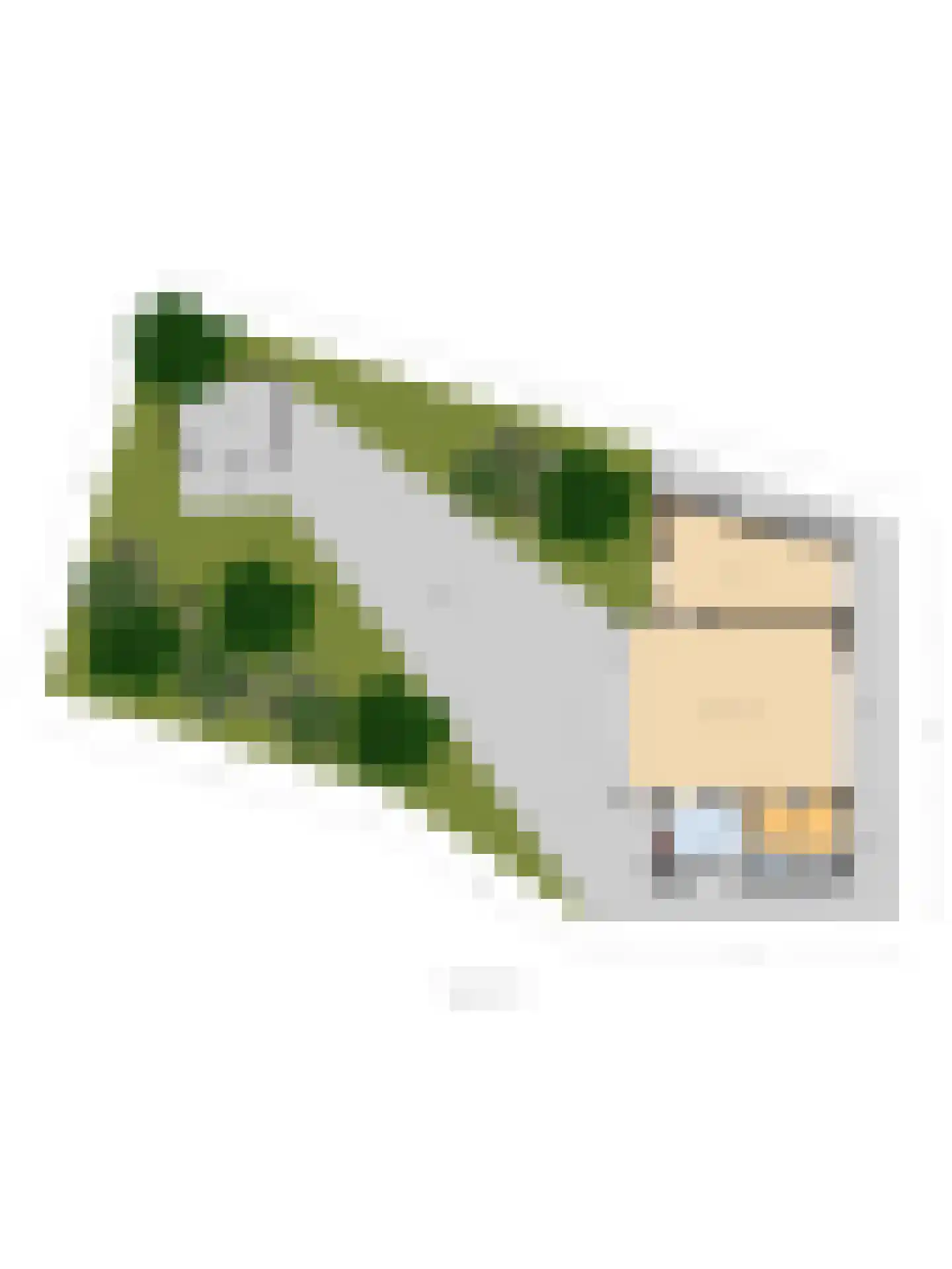 de Bommerij 19 Twello thumbnail 59