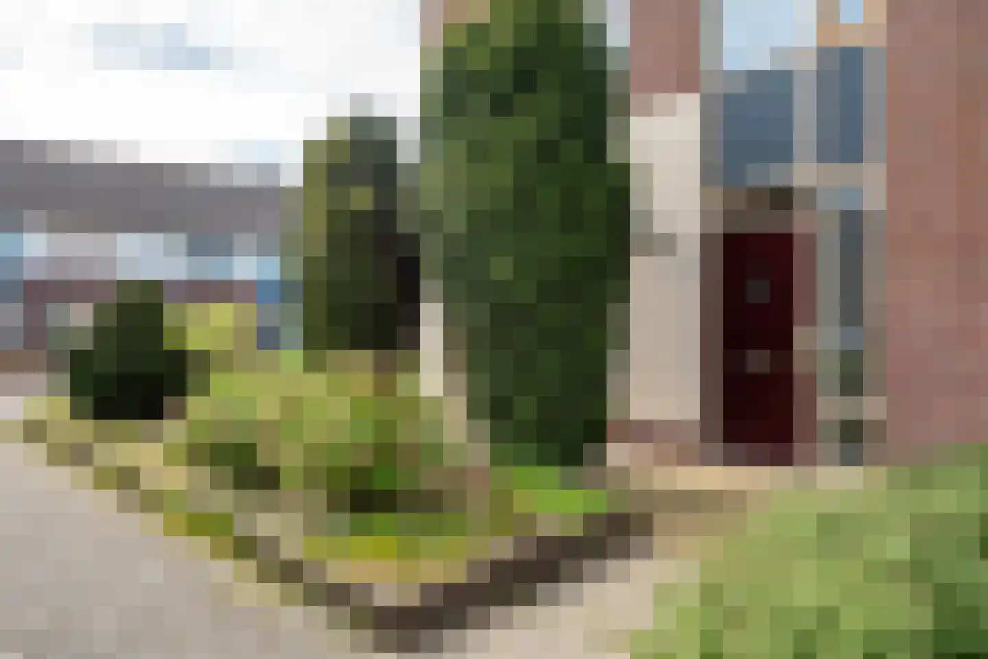 de Bongerd 1 Oldebroek foto 2
