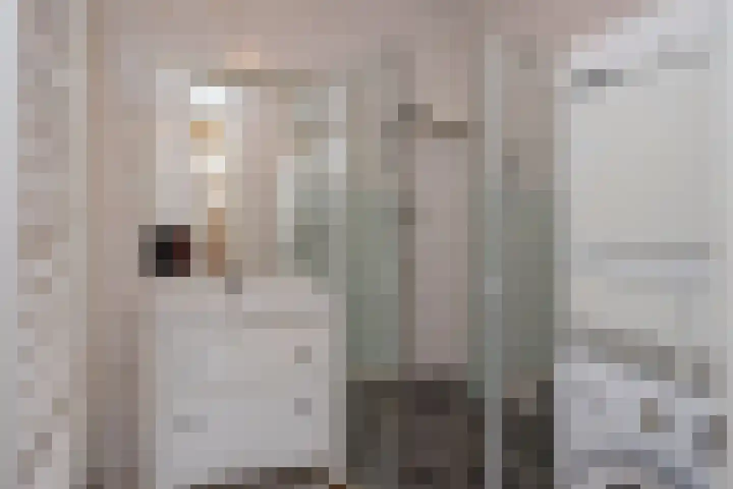 de Bongerd 1 Oldebroek thumbnail 25