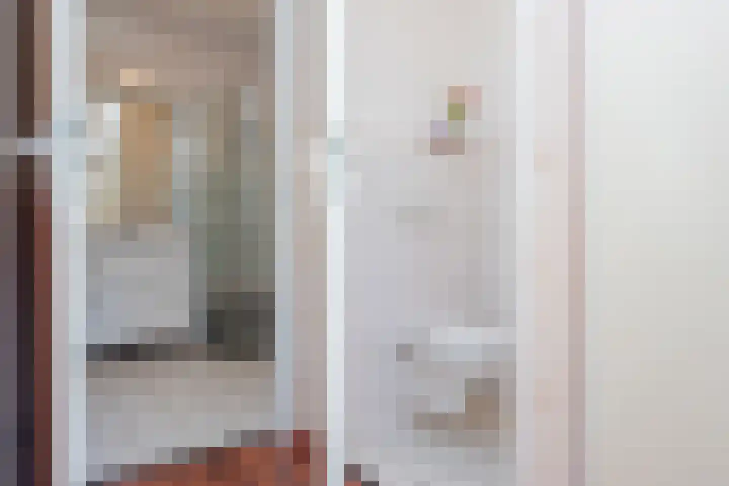 de Bongerd 1 Oldebroek thumbnail 27