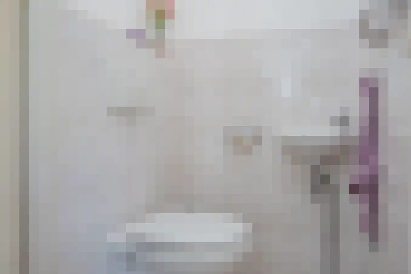de Bongerd 1 Oldebroek thumbnail 28