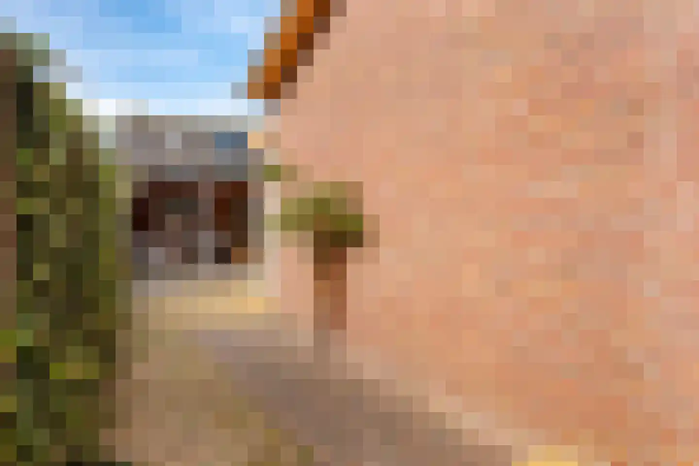 de Bongerd 1 Oldebroek thumbnail 44