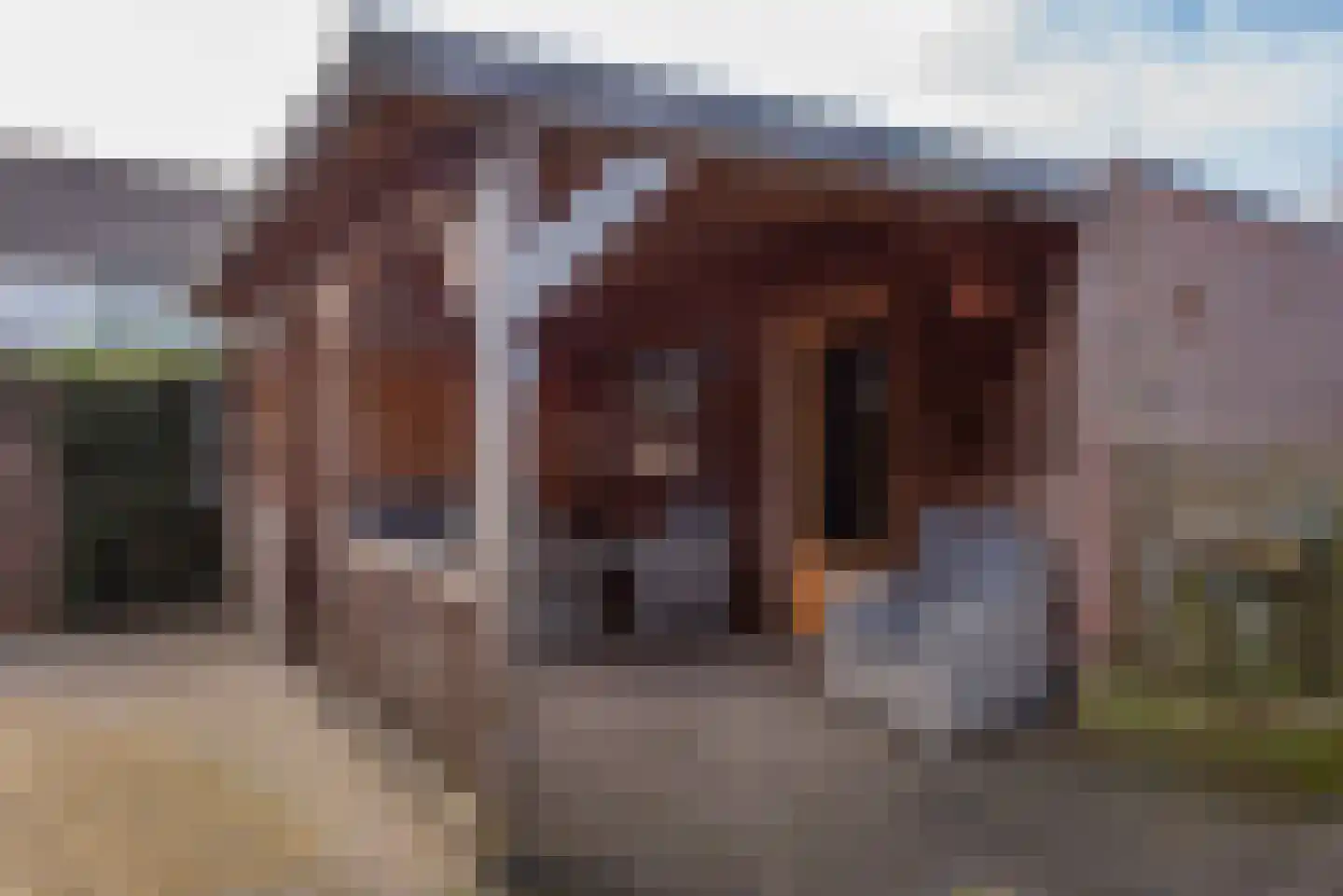 de Bongerd 1 Oldebroek thumbnail 48