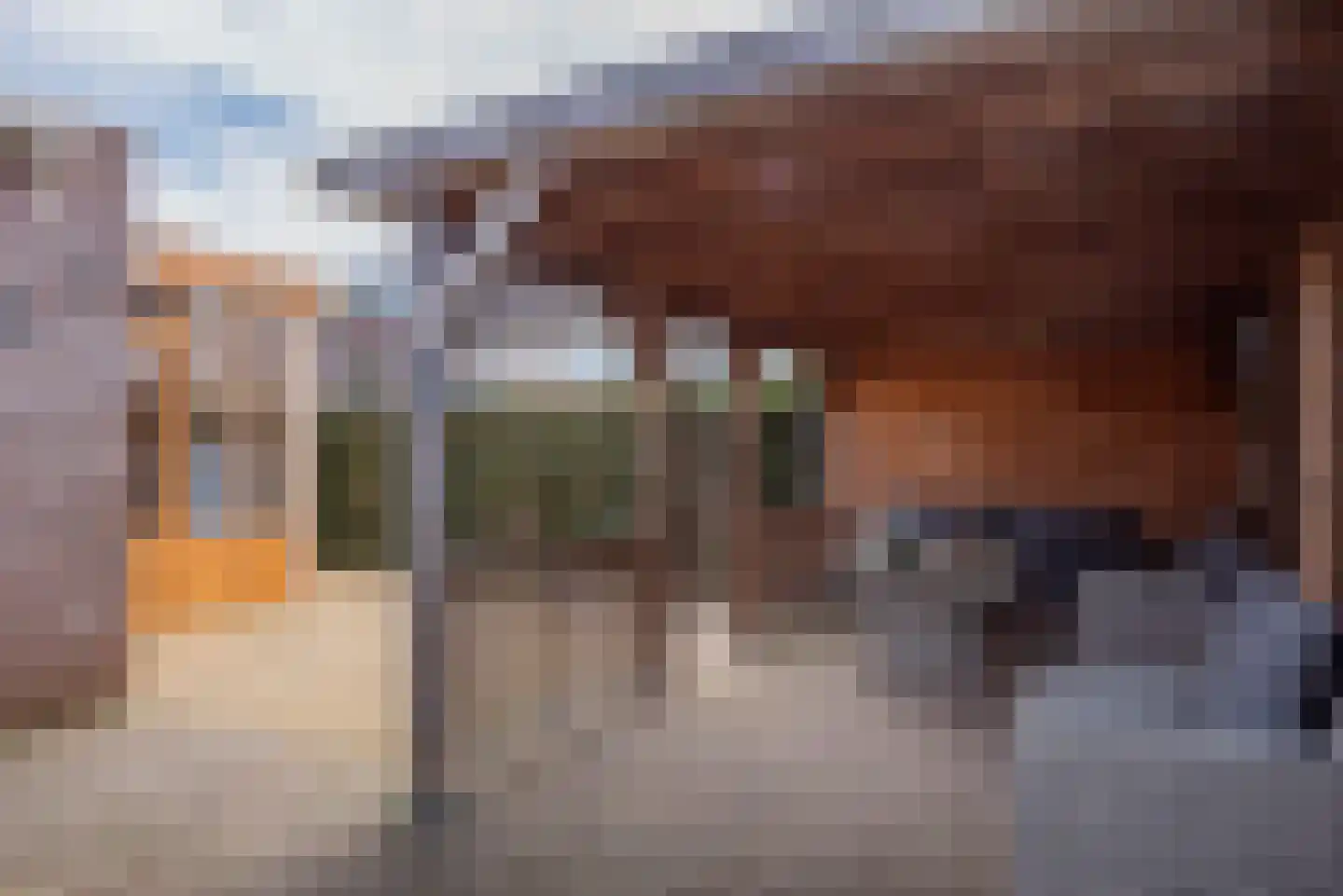 de Bongerd 1 Oldebroek thumbnail 52