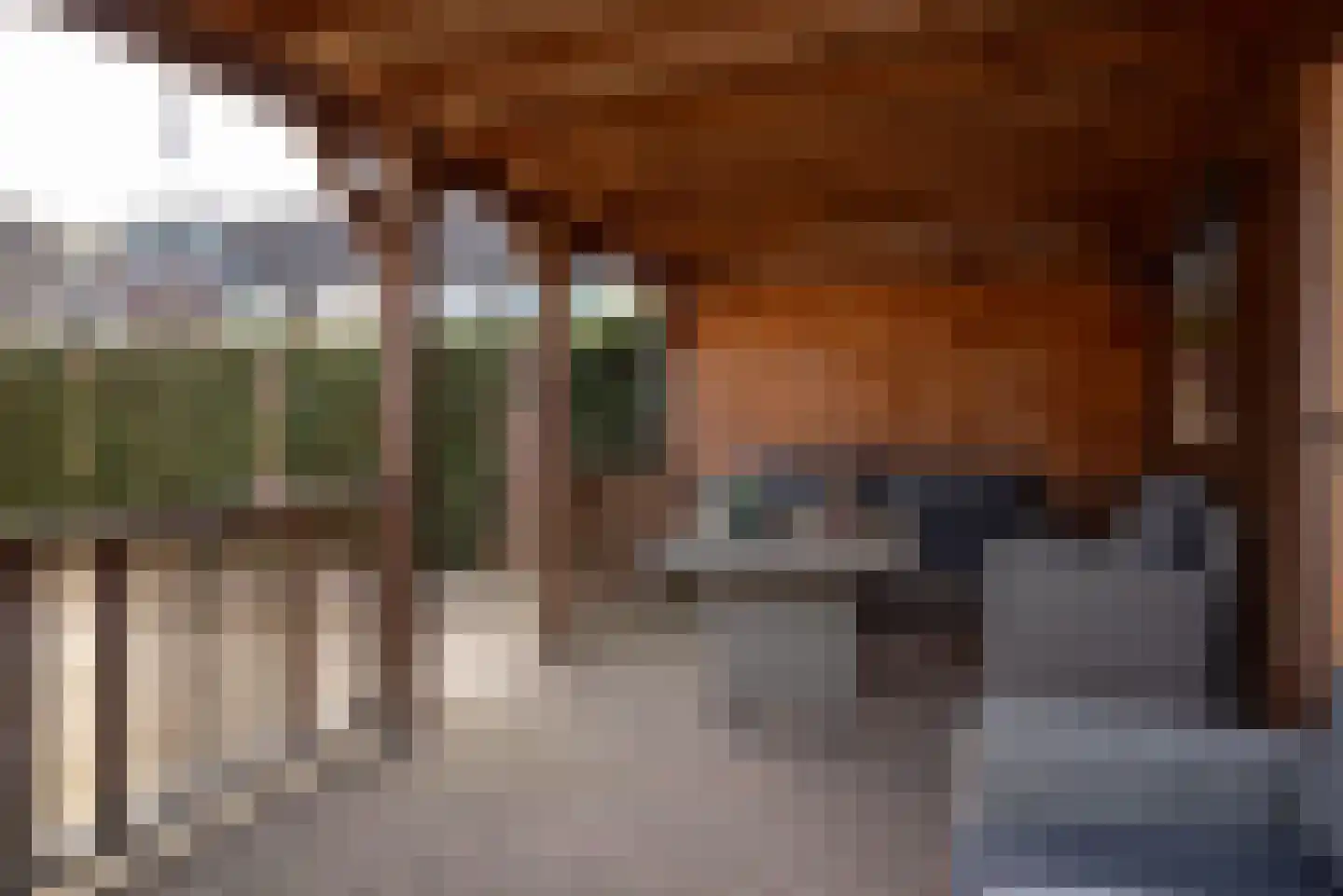 de Bongerd 1 Oldebroek thumbnail 53