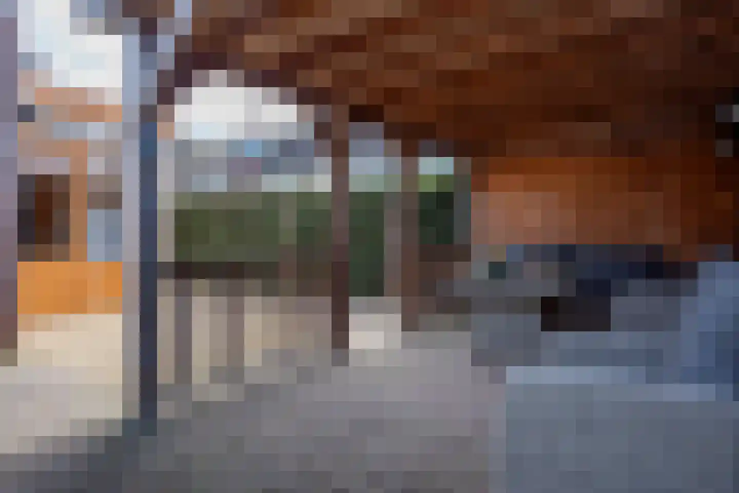 de Bongerd 1 Oldebroek thumbnail 56