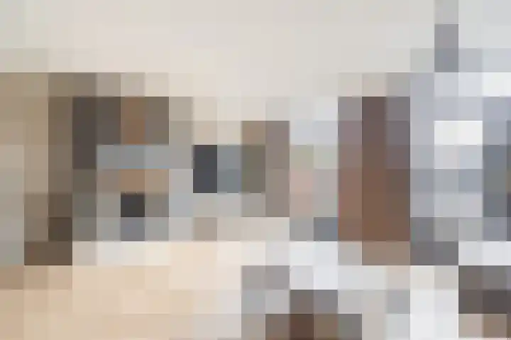 de Bongerd 10 Rozenburg thumbnail 14