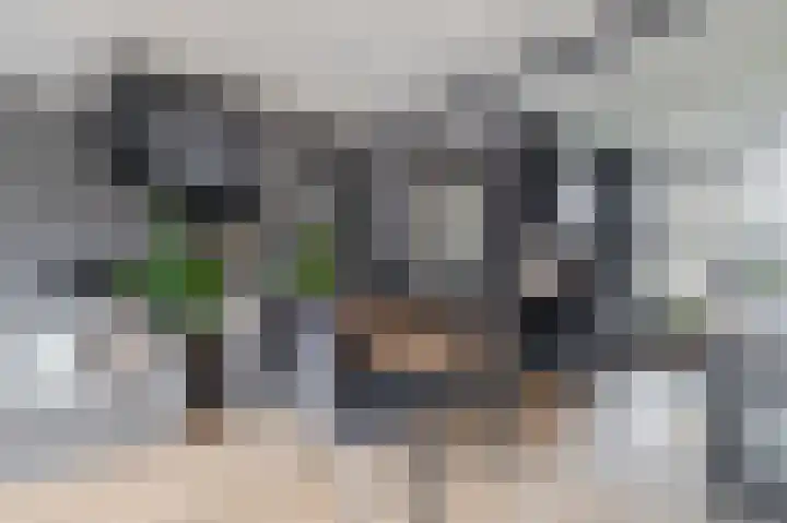 de Bongerd 10 Rozenburg thumbnail 16