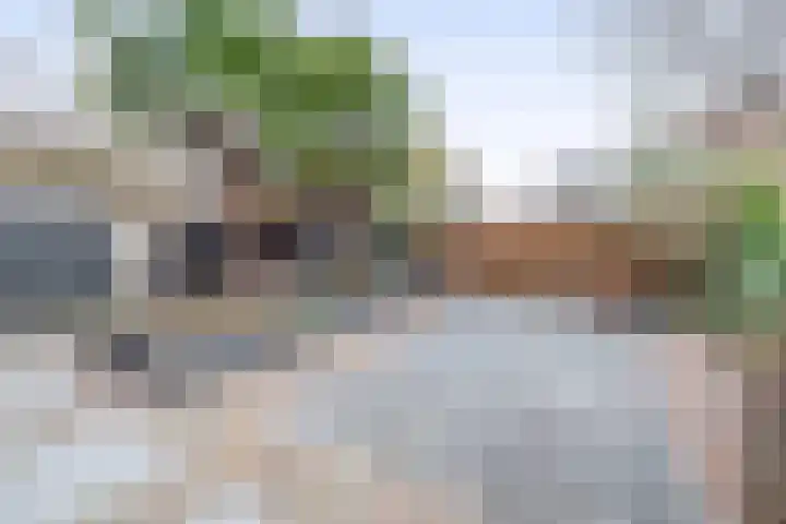 de Bongerd 10 Rozenburg thumbnail 22