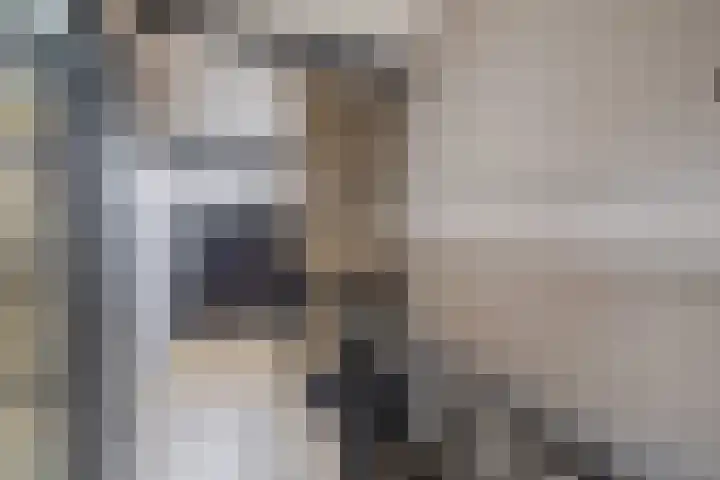 de Bongerd 10 Rozenburg thumbnail 35