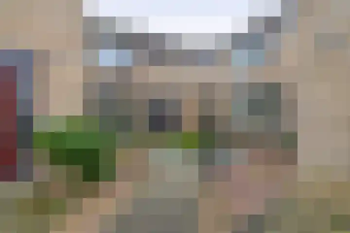 de Bongerd 10 Rozenburg thumbnail 6