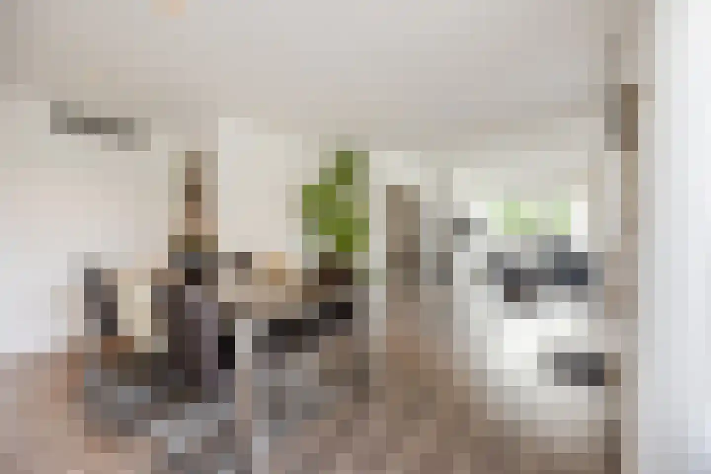 de Bongerd 11 Fijnaart thumbnail 31