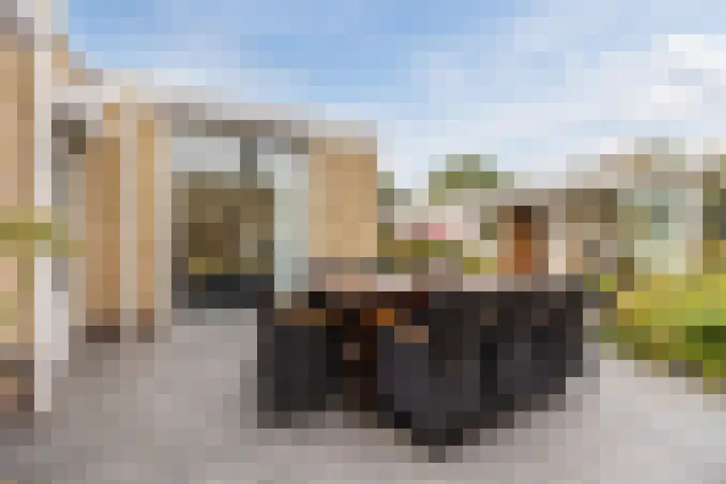 de Bongerd 11 Fijnaart thumbnail 47