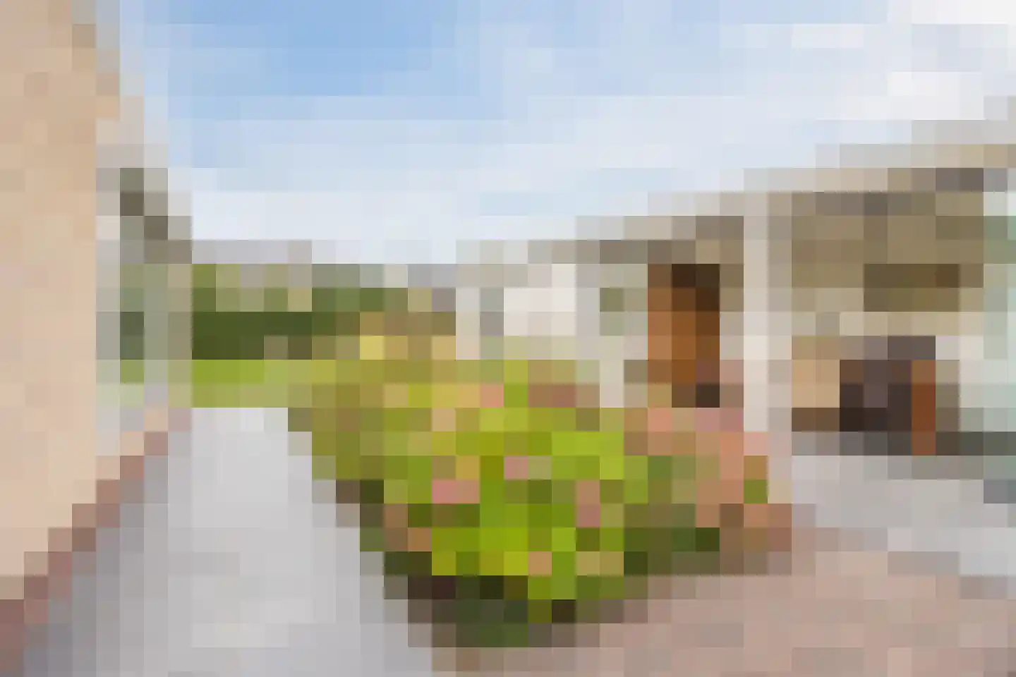 de Bongerd 11 Fijnaart thumbnail 50