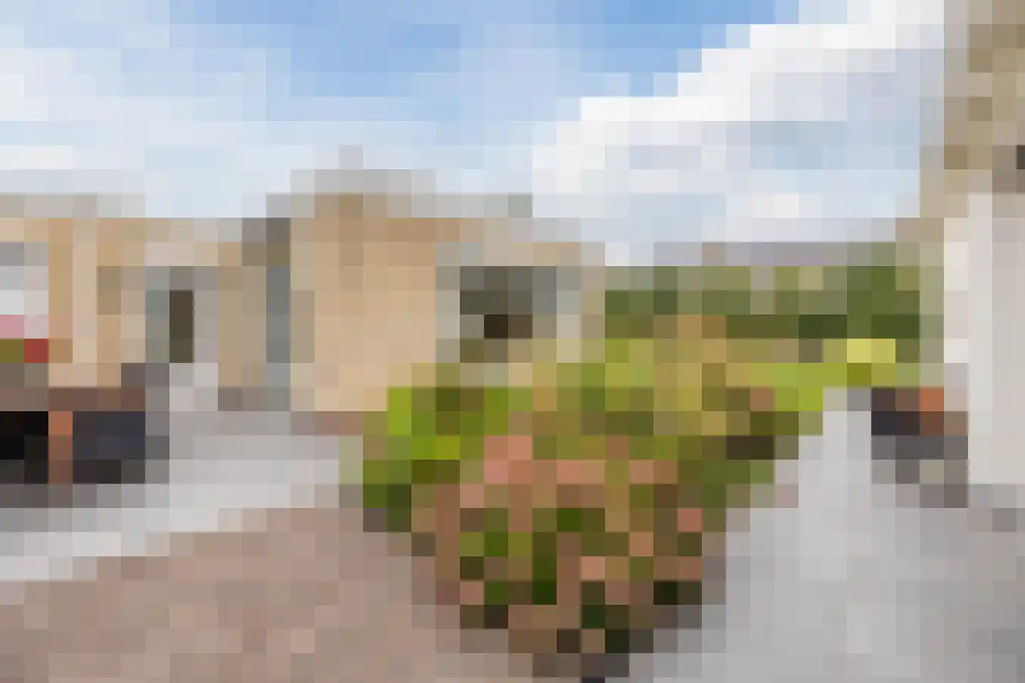 de Bongerd 11 Fijnaart thumbnail 54