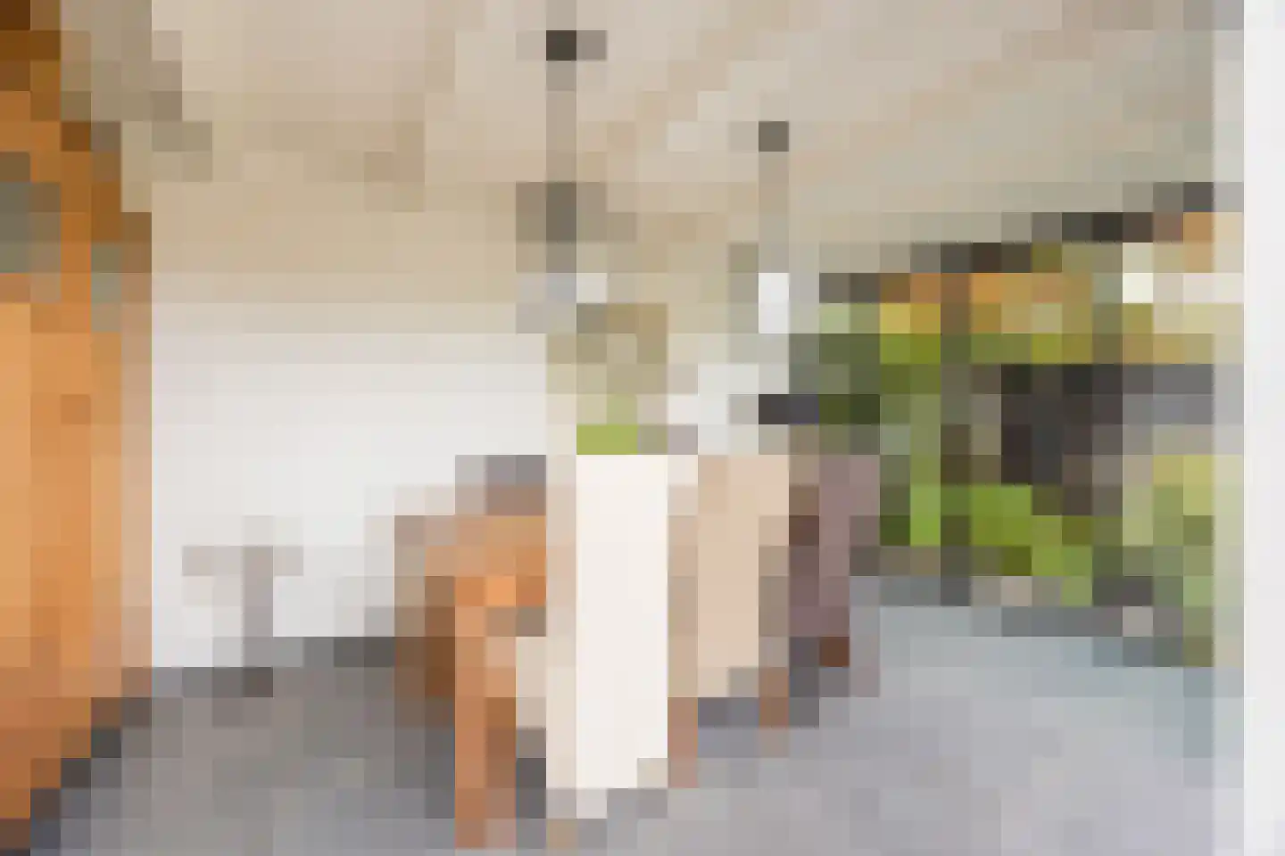 de Bongerd 11 Fijnaart thumbnail 56