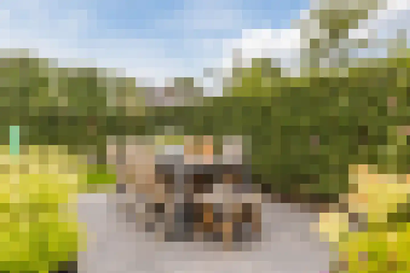 de Bongerd 11 Fijnaart thumbnail 57