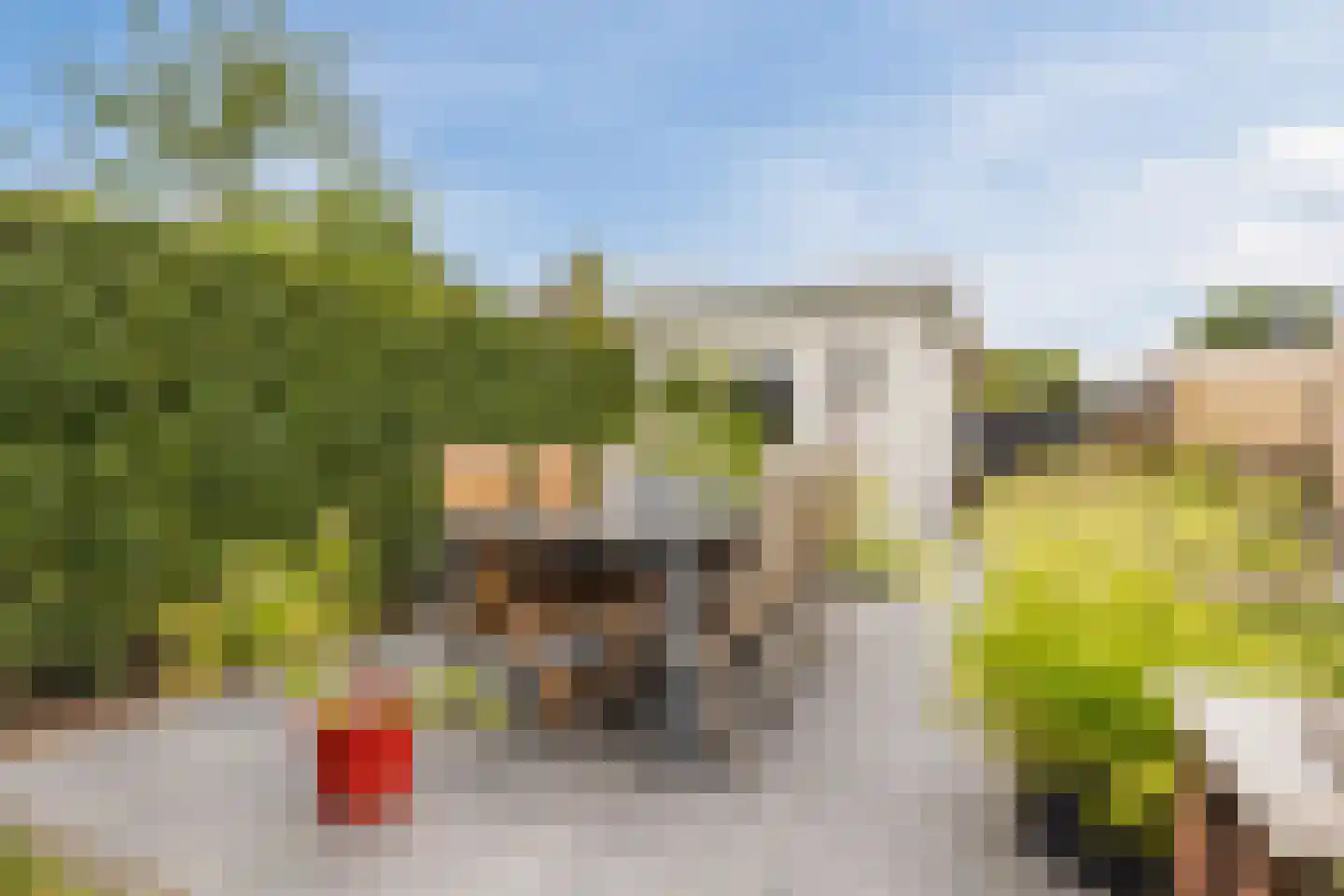 de Bongerd 11 Fijnaart thumbnail 58