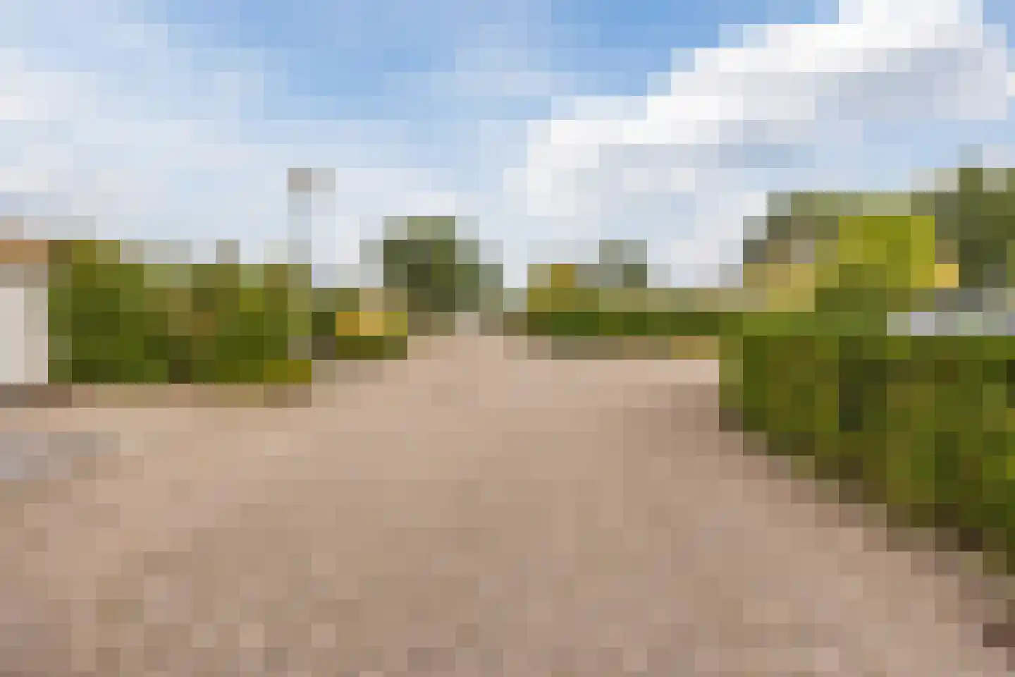 de Bongerd 11 Fijnaart thumbnail 64