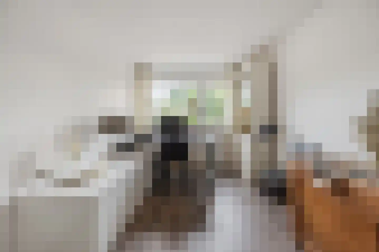 de Bongerd 11 Fijnaart thumbnail 9