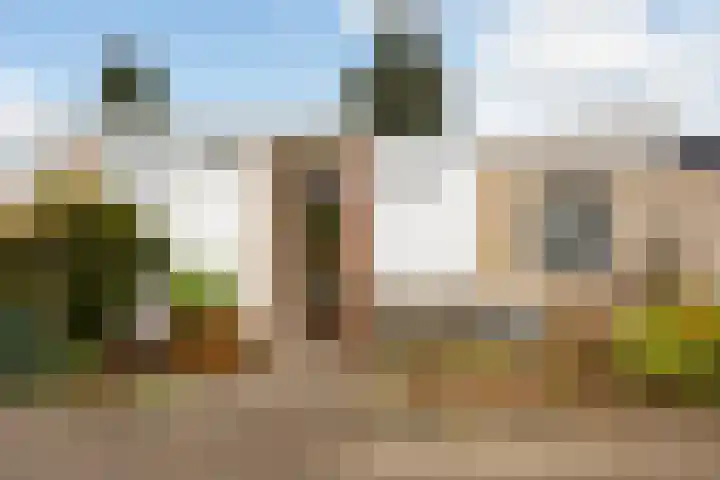 De Bongerd 13 Gorssel thumbnail 11