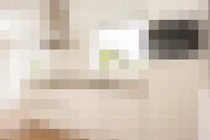 De Bongerd 13 Gorssel thumbnail 14