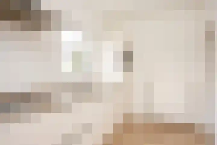 De Bongerd 13 Gorssel thumbnail 16