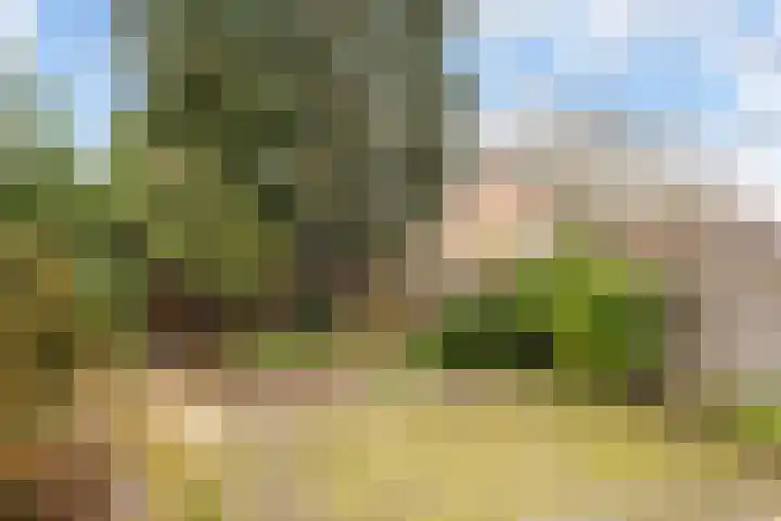 De Bongerd 13 Gorssel thumbnail 25