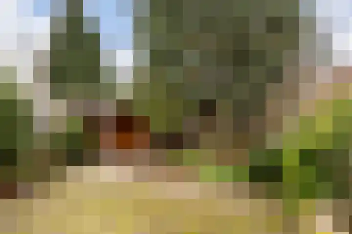 De Bongerd 13 Gorssel thumbnail 26