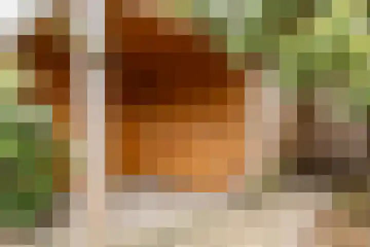 De Bongerd 13 Gorssel thumbnail 27