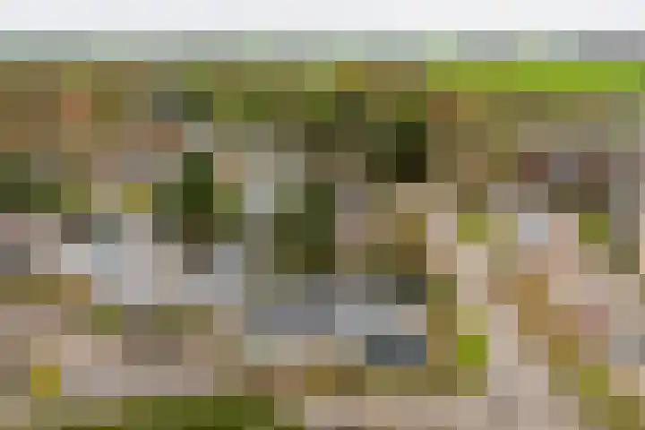De Bongerd 13 Gorssel thumbnail 29