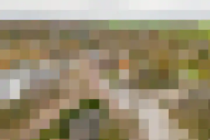 De Bongerd 13 Gorssel thumbnail 30