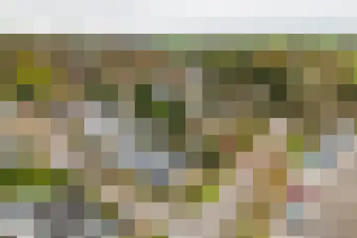 De Bongerd 13 Gorssel thumbnail 31