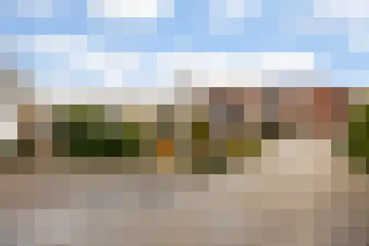 De Bongerd 13 Gorssel thumbnail 32