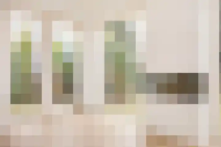 De Bongerd 13 Gorssel thumbnail 4