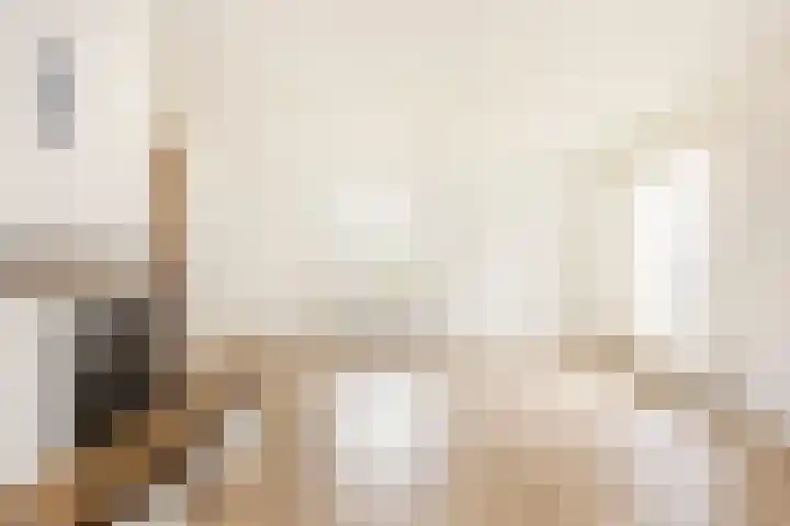 De Bongerd 13 Gorssel thumbnail 6