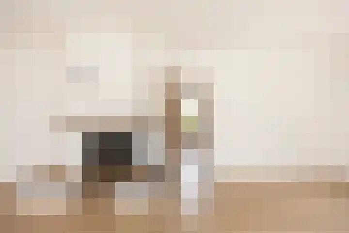 De Bongerd 13 Gorssel thumbnail 7