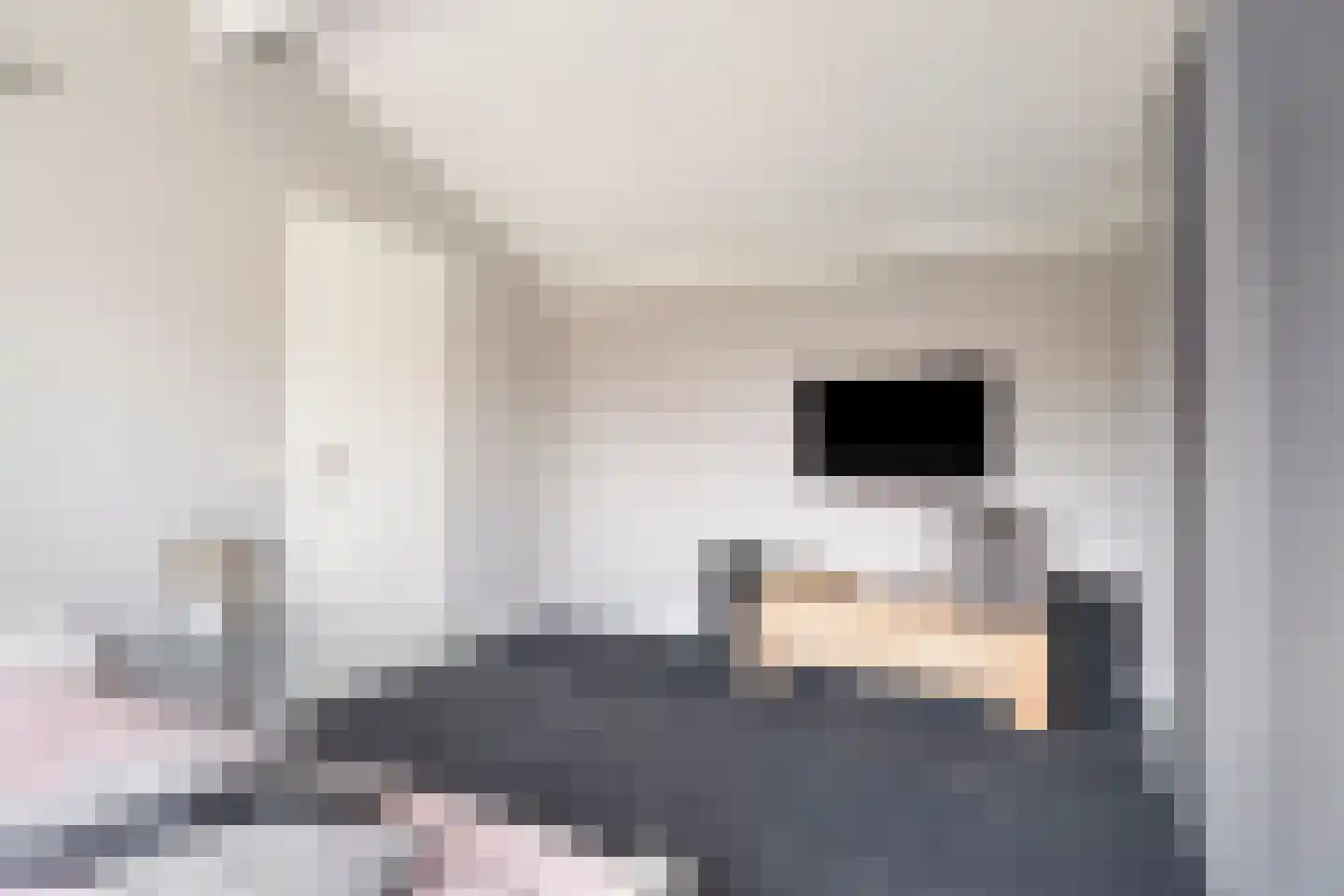 de Bongerd 13 Oldebroek thumbnail 32