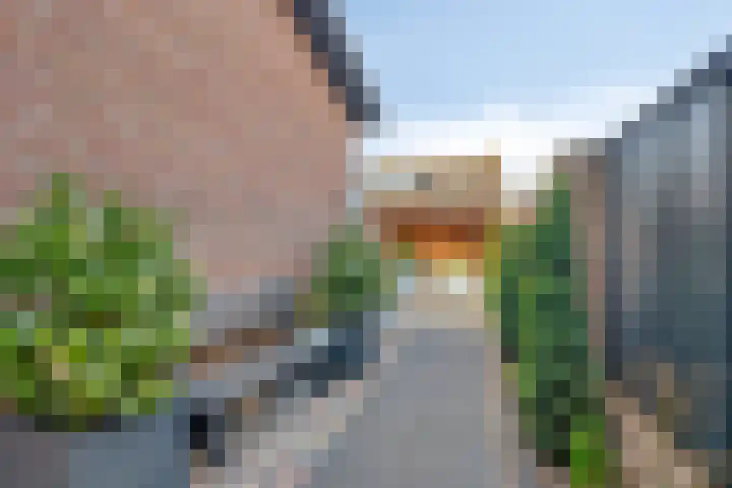 de Bongerd 13 Oldebroek thumbnail 40