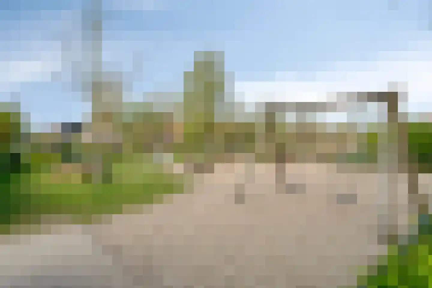 de Bongerd 13 Oldebroek thumbnail 47