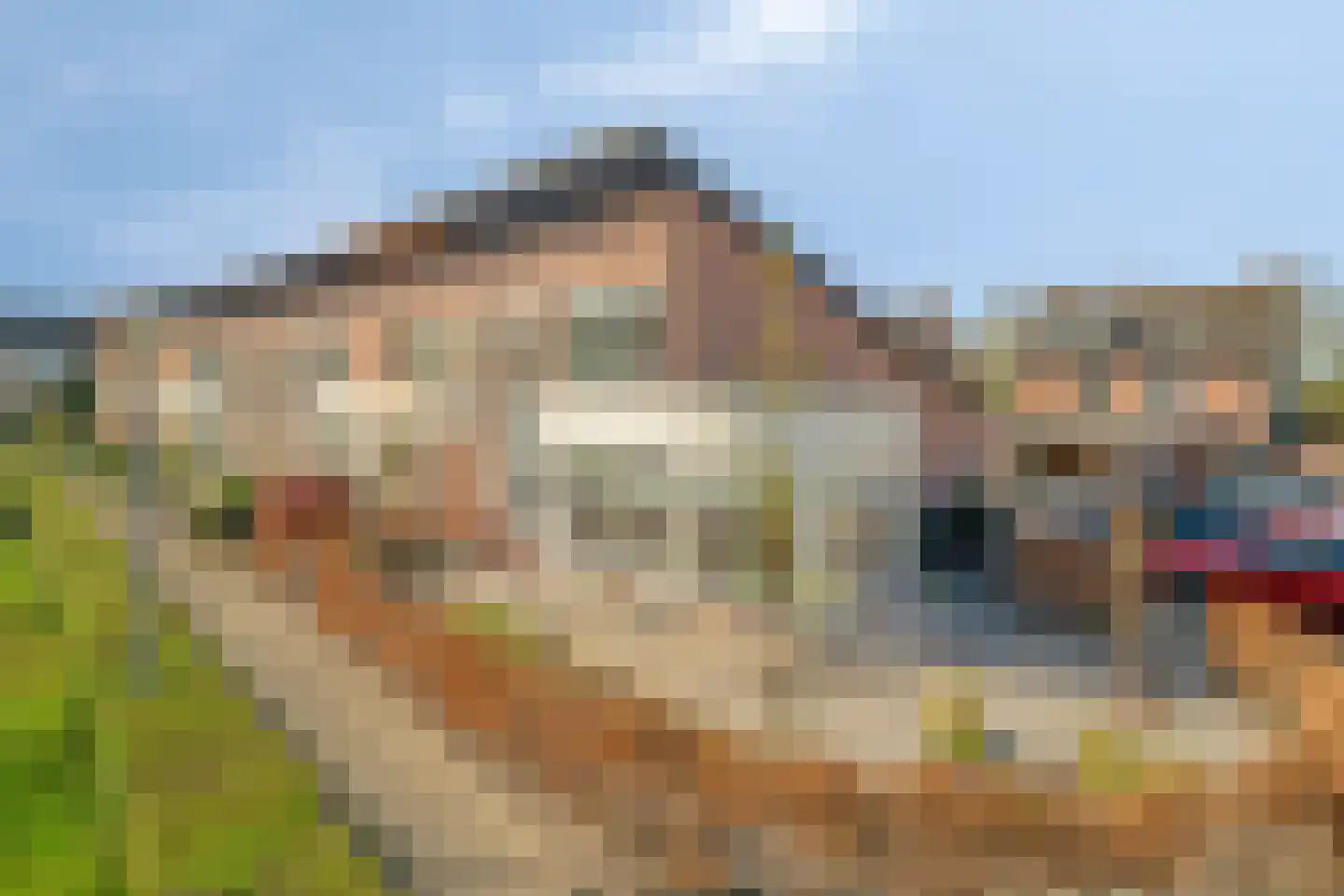 de Bongerd 13 Oldebroek thumbnail 6