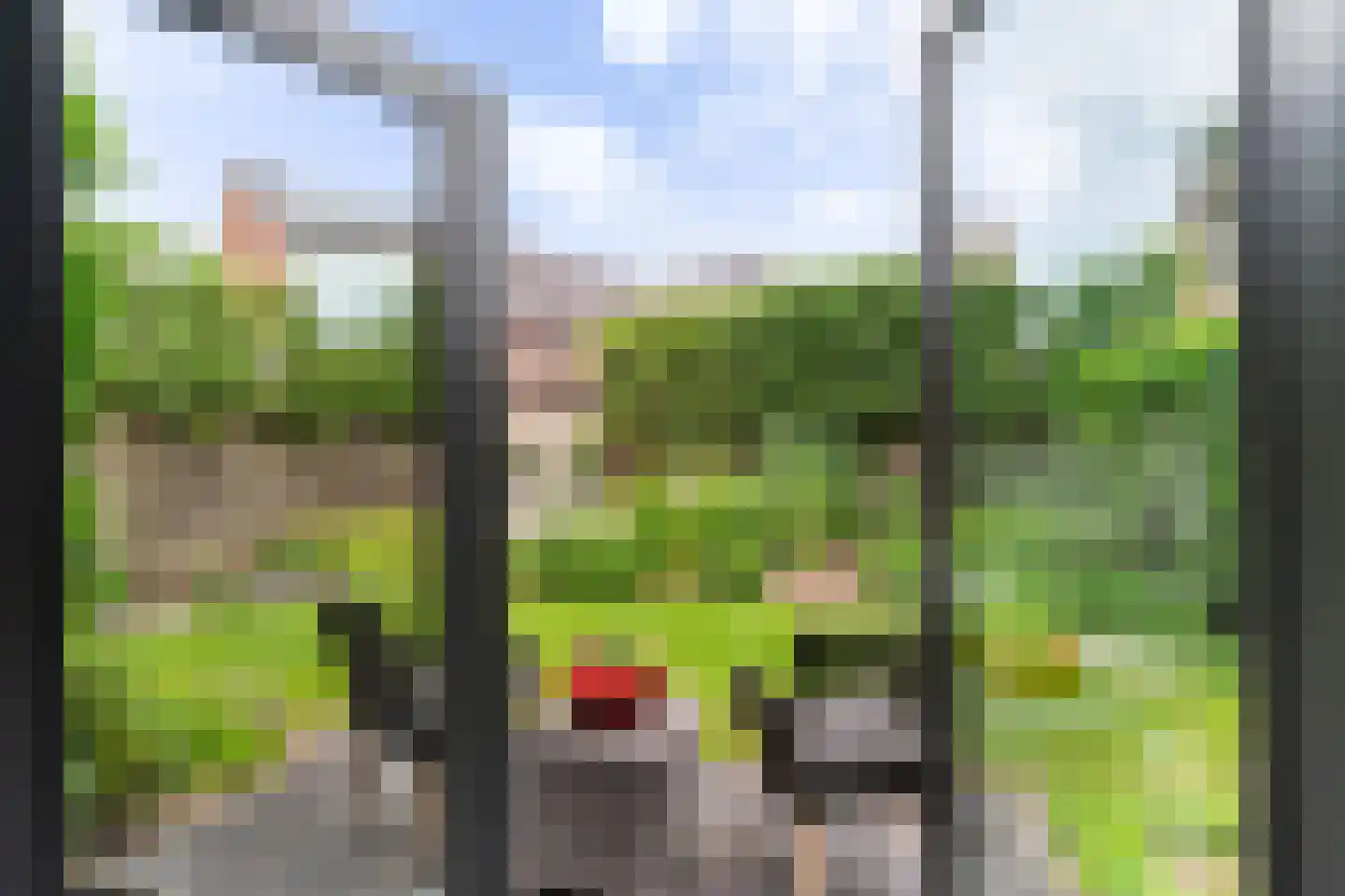 De Bongerd 16 Scherpenzeel thumbnail 12
