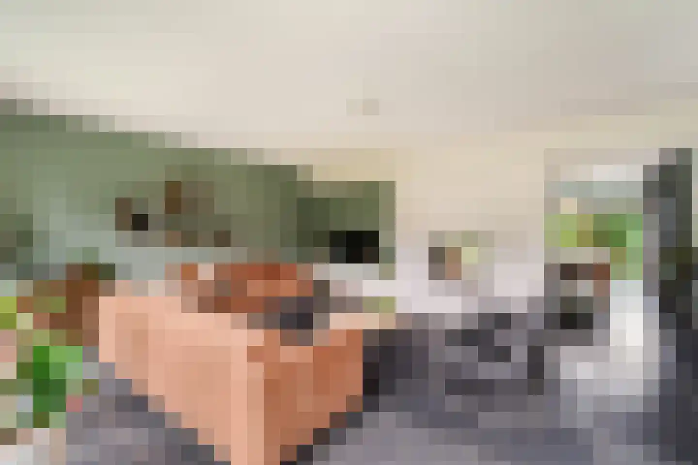 De Bongerd 16 Scherpenzeel thumbnail 13