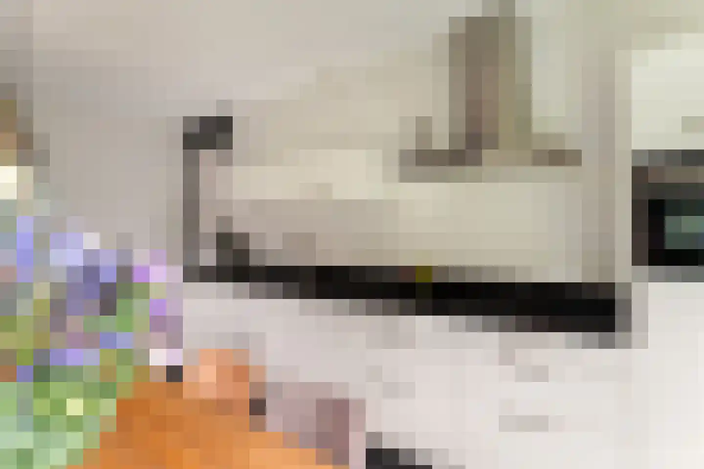 De Bongerd 16 Scherpenzeel thumbnail 18