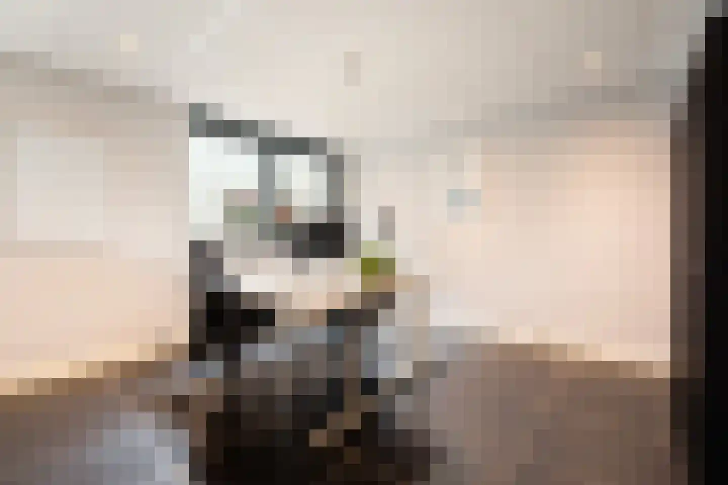 De Bongerd 16 Scherpenzeel thumbnail 21