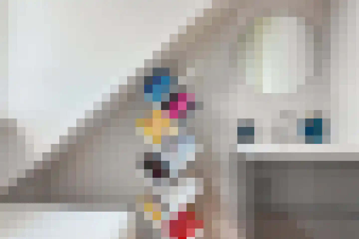 De Bongerd 16 Scherpenzeel thumbnail 43