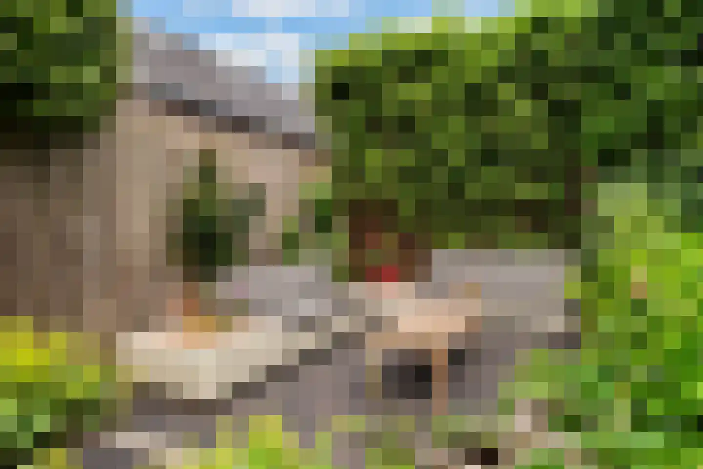De Bongerd 16 Scherpenzeel thumbnail 46